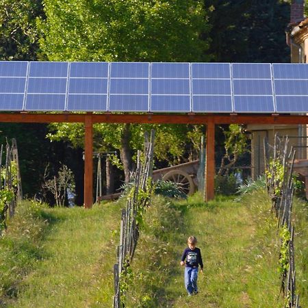 Villa Agriturismo Le Volpaie San Gimignano Exterior foto